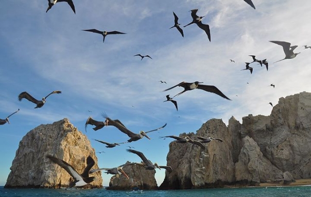  passeggiata tra i promontori 